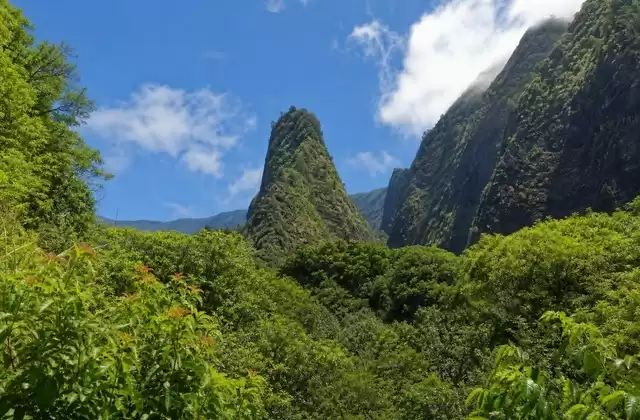 Em Maui