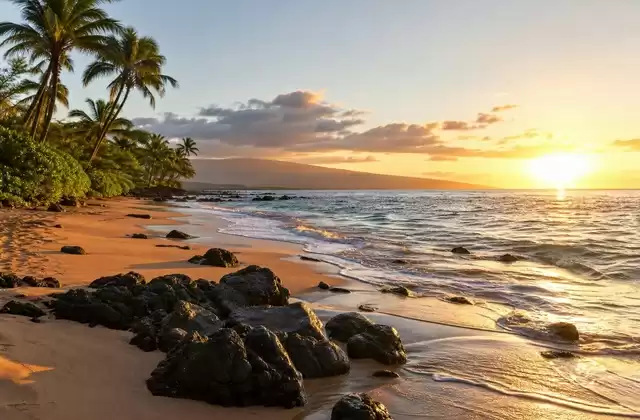 Em Maui