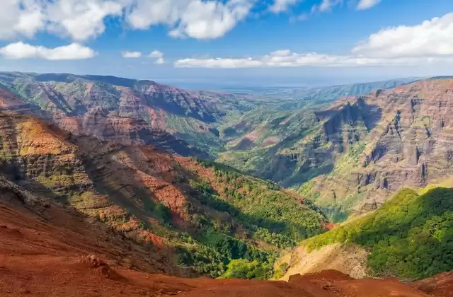 Em Kauai