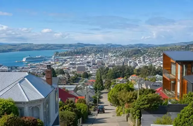 Em Dunedin