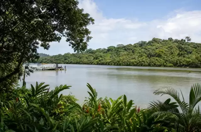 Em Gamboa