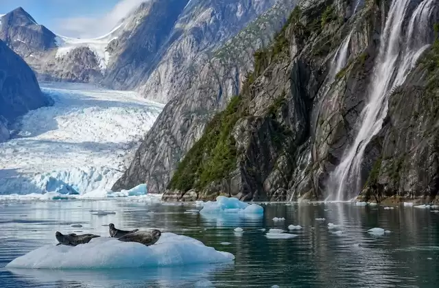 Endicott Arm e Dawes Glacier