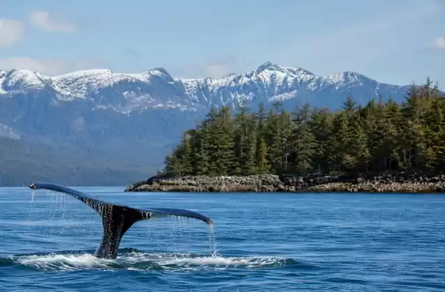Icy Strait Point