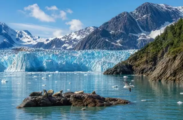 Glacier Bay