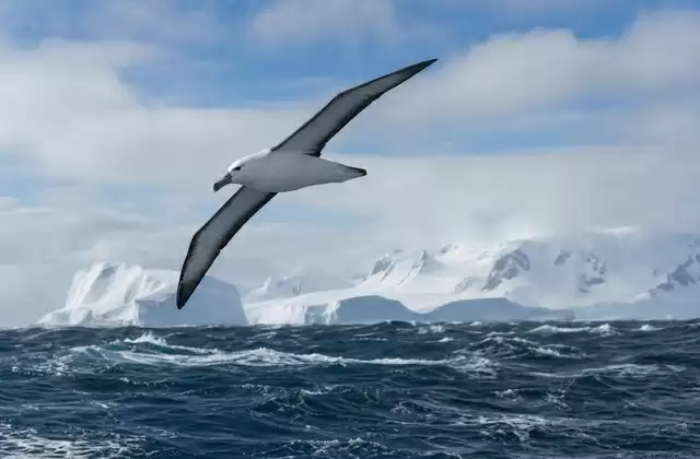 A Passagem de Drake e a Corrente Circumpolar