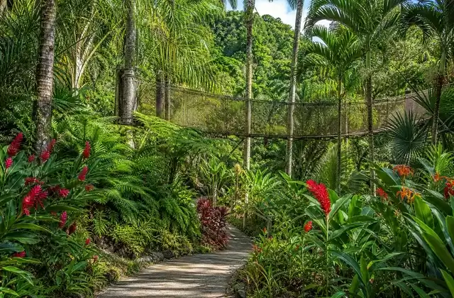 Jardim de Balata