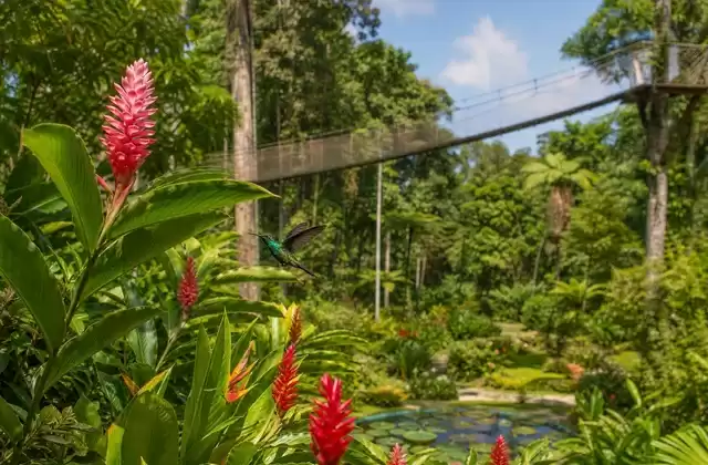 Jardim de Balata