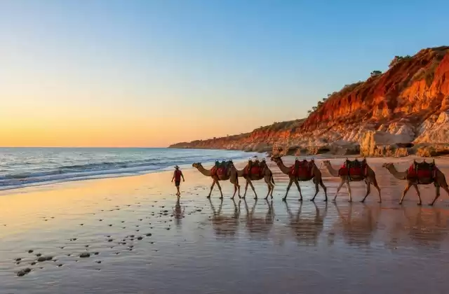 Broome