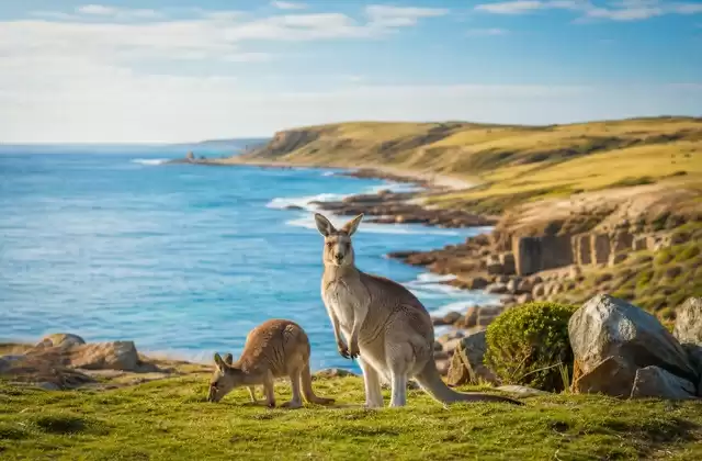 Kangaroo Island