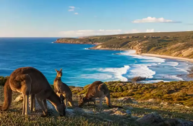Kangaroo Island