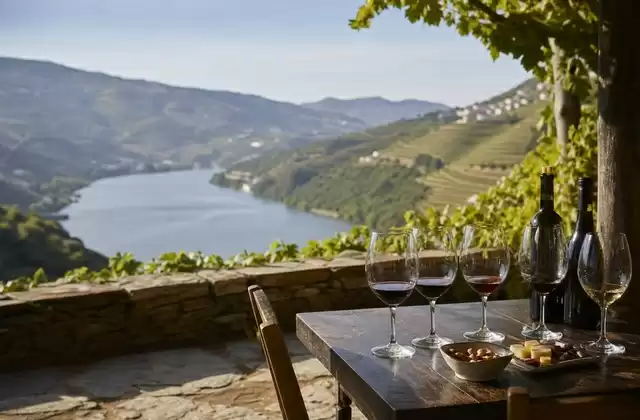 Uma prova de vinhos numa quinta