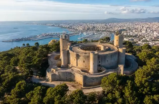 Palma
