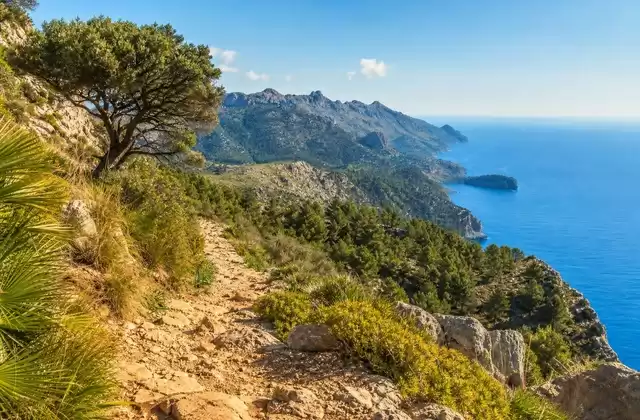 Valldemossa