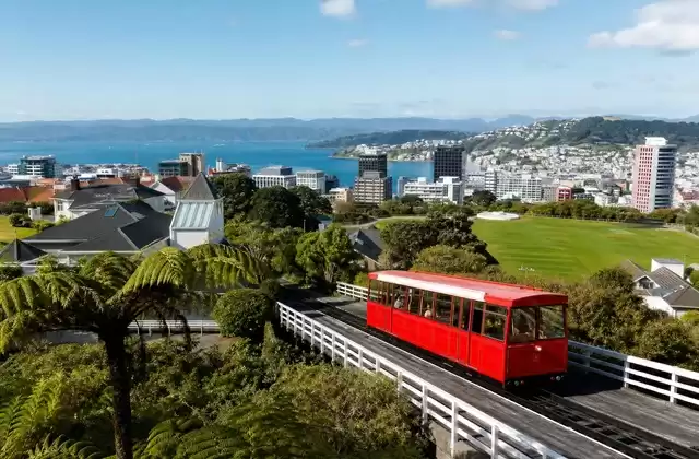 Wellington